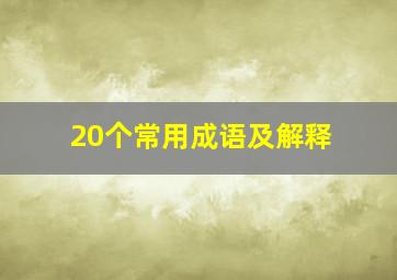 20个常用成语及解释