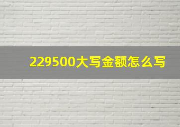 229500大写金额怎么写