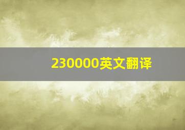 230000英文翻译