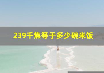 239千焦等于多少碗米饭