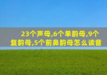 23个声母,6个单韵母,9个复韵母,5个前鼻韵母怎么读音