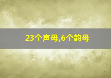 23个声母,6个韵母