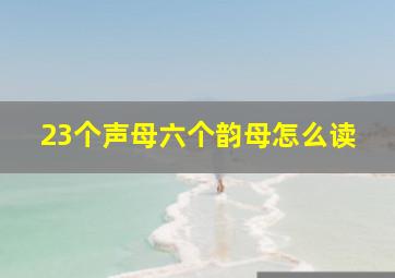 23个声母六个韵母怎么读