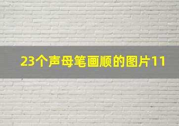 23个声母笔画顺的图片11