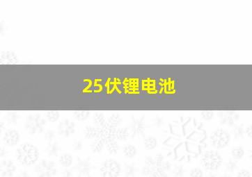 25伏锂电池