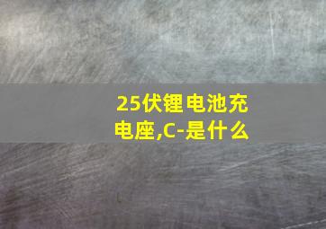 25伏锂电池充电座,C-是什么