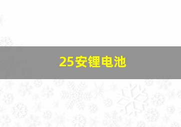 25安锂电池