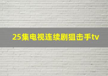 25集电视连续剧狙击手tv