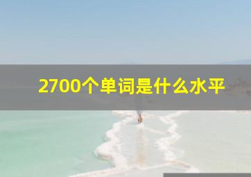 2700个单词是什么水平