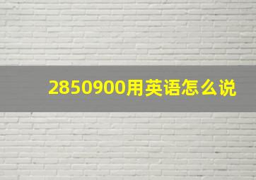 2850900用英语怎么说