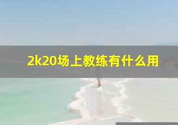 2k20场上教练有什么用