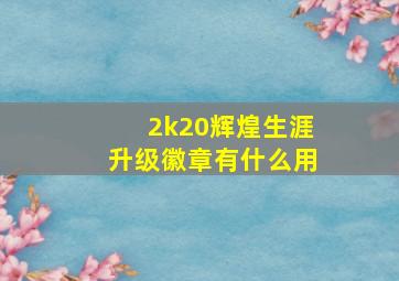 2k20辉煌生涯升级徽章有什么用