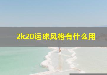 2k20运球风格有什么用