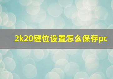 2k20键位设置怎么保存pc