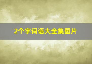 2个字词语大全集图片