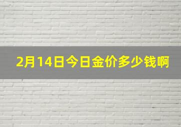 2月14日今日金价多少钱啊