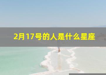 2月17号的人是什么星座