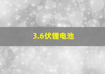 3.6伏锂电池