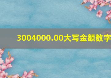 3004000.00大写金额数字