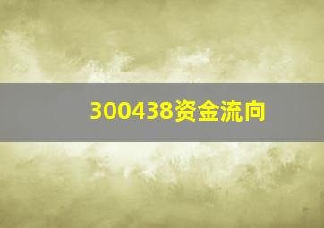 300438资金流向