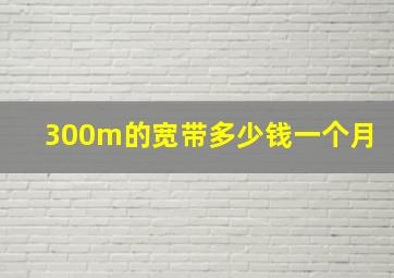 300m的宽带多少钱一个月