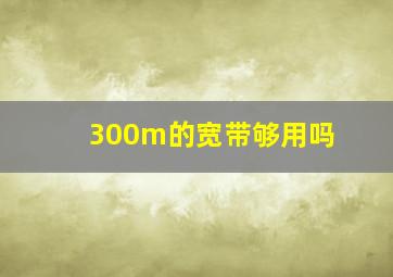 300m的宽带够用吗