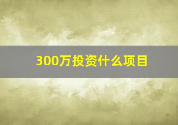 300万投资什么项目