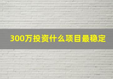 300万投资什么项目最稳定