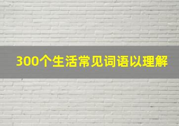 300个生活常见词语以理解