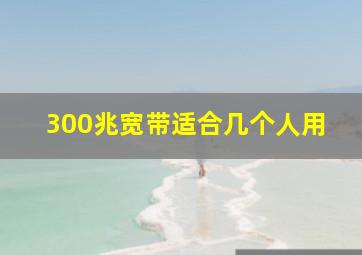 300兆宽带适合几个人用