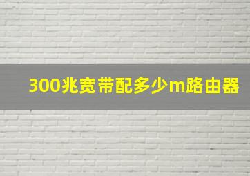 300兆宽带配多少m路由器