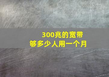 300兆的宽带够多少人用一个月