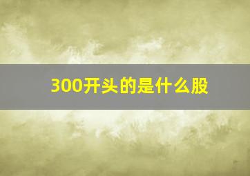 300开头的是什么股