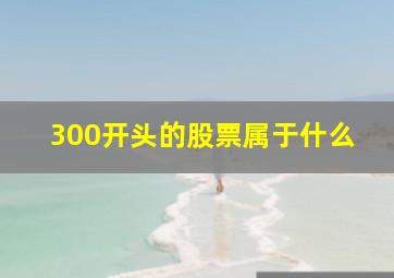 300开头的股票属于什么