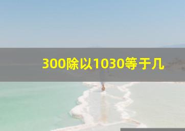 300除以1030等于几