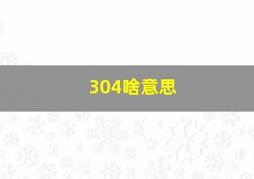 304啥意思