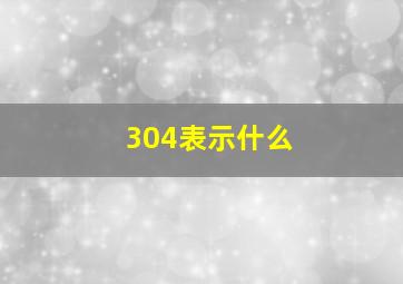 304表示什么