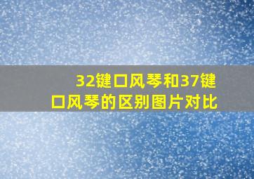 32键口风琴和37键口风琴的区别图片对比