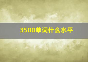 3500单词什么水平