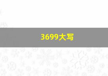 3699大写