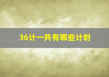 36计一共有哪些计划