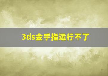 3ds金手指运行不了