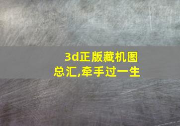 3d正版藏机图总汇,牵手过一生