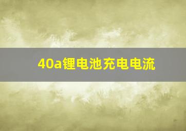 40a锂电池充电电流