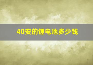 40安的锂电池多少钱