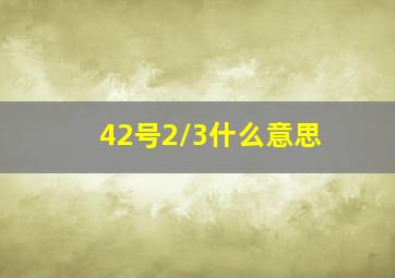 42号2/3什么意思