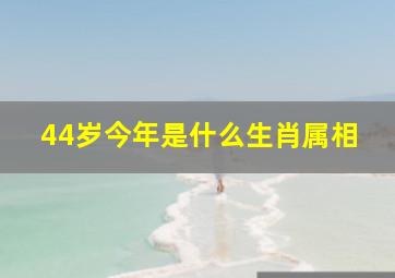 44岁今年是什么生肖属相