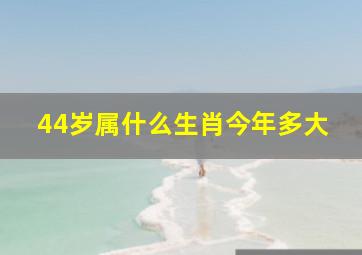 44岁属什么生肖今年多大