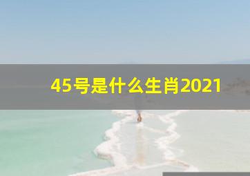 45号是什么生肖2021