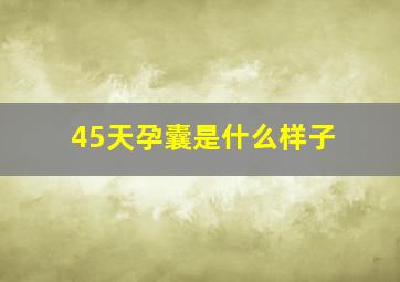 45天孕囊是什么样子